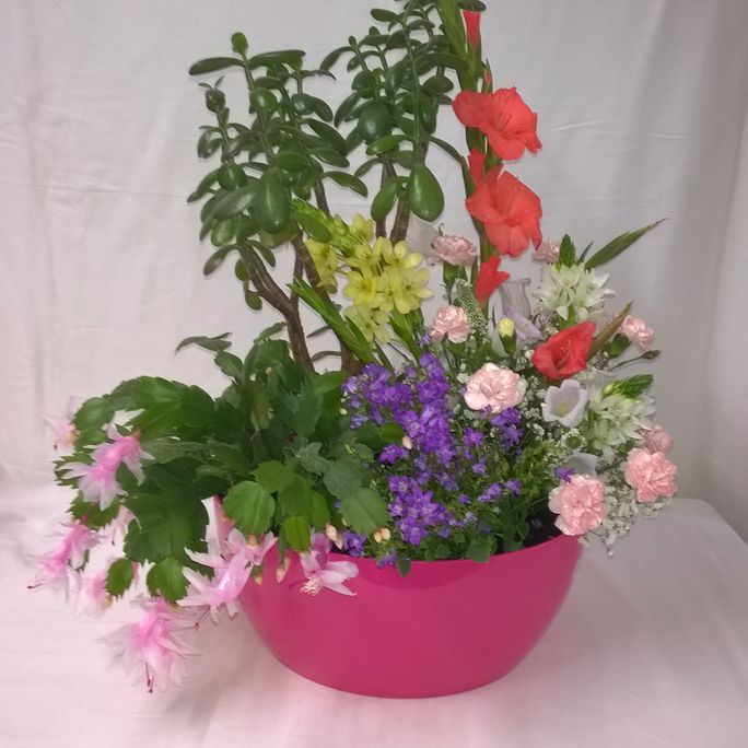 Pot-et-Fleur 