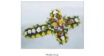 Seasonal Mix Cross
