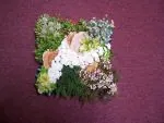 Natural Mini Garden Cushion 