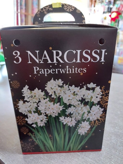 Narcissi Paperwhites Gift Box Set