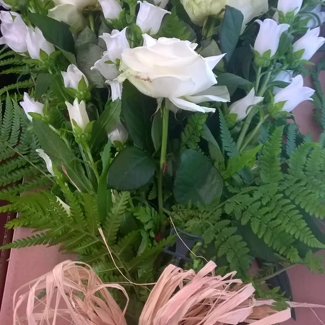 Open Hand Tied Spray white flowers & Foliage with natural bow .