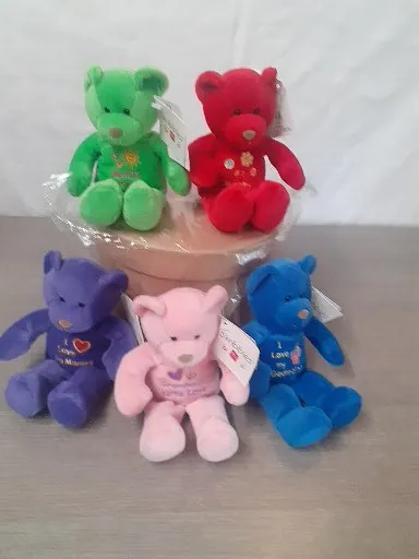 Beany Teddy Bears 