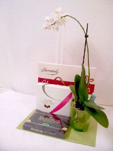 Plant & Box of chocolate gift set .