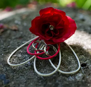 Grooms red rose silk flower button hole
