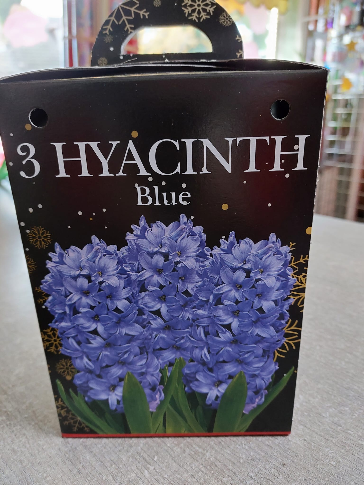 Hyacinth Gift Box Set Blue