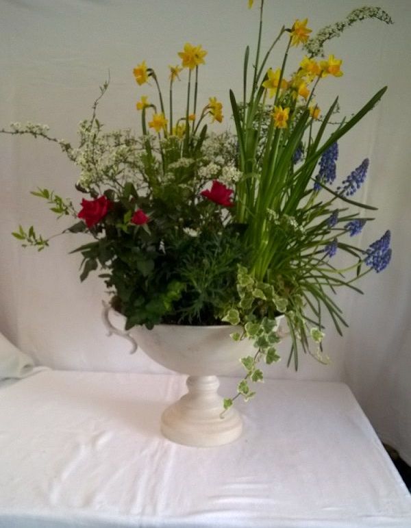 Planter displays 